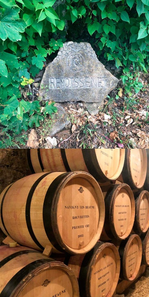 Remoissenet vineyard marker stone and cellar